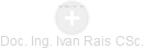 Ivan Rais - Vizualizace  propojení osoby a firem v obchodním rejstříku