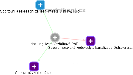Iveta Vozňáková - Vizualizace  propojení osoby a firem v obchodním rejstříku