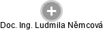  Ludmila N. - Vizualizace  propojení osoby a firem v obchodním rejstříku