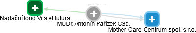 Antonín Pařízek - Vizualizace  propojení osoby a firem v obchodním rejstříku