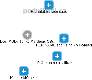 Tonko Mardešić - Vizualizace  propojení osoby a firem v obchodním rejstříku