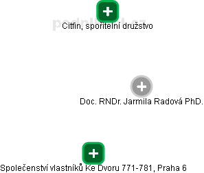  Jarmila R. - Vizualizace  propojení osoby a firem v obchodním rejstříku