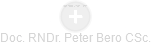Peter Bero - Vizualizace  propojení osoby a firem v obchodním rejstříku