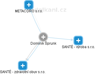 Dominik Šprunk - Vizualizace  propojení osoby a firem v obchodním rejstříku