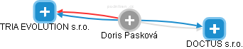  Doris P. - Vizualizace  propojení osoby a firem v obchodním rejstříku
