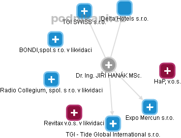 JIŘÍ HANÁK - Vizualizace  propojení osoby a firem v obchodním rejstříku