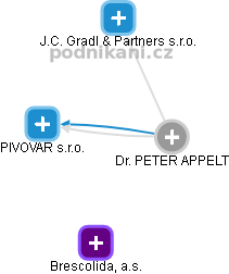  Peter A. - Vizualizace  propojení osoby a firem v obchodním rejstříku