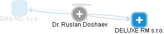 Ruslan Doshaev - Vizualizace  propojení osoby a firem v obchodním rejstříku