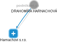  Drahomíra H. - Vizualizace  propojení osoby a firem v obchodním rejstříku