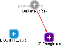 Dušan Kubíček - Vizualizace  propojení osoby a firem v obchodním rejstříku