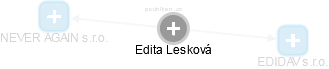 Edita Lesková - Vizualizace  propojení osoby a firem v obchodním rejstříku