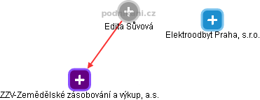  Edita S. - Vizualizace  propojení osoby a firem v obchodním rejstříku