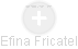 Efina Fricatel - Vizualizace  propojení osoby a firem v obchodním rejstříku