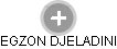 EGZON DJELADINI - Vizualizace  propojení osoby a firem v obchodním rejstříku