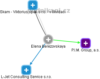 Elena Berezovskaya - Vizualizace  propojení osoby a firem v obchodním rejstříku