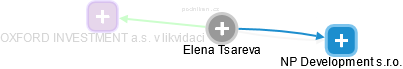 Elena Tsareva - Vizualizace  propojení osoby a firem v obchodním rejstříku