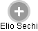 Elio Sechi - Vizualizace  propojení osoby a firem v obchodním rejstříku