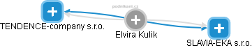 Elvira Kulik - Vizualizace  propojení osoby a firem v obchodním rejstříku