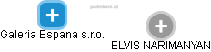  Elvis N. - Vizualizace  propojení osoby a firem v obchodním rejstříku