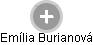 Emília Burianová - Vizualizace  propojení osoby a firem v obchodním rejstříku