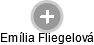 Emília Fliegelová - Vizualizace  propojení osoby a firem v obchodním rejstříku