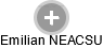 Emilian NEACSU - Vizualizace  propojení osoby a firem v obchodním rejstříku