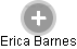 Erica Barnes - Vizualizace  propojení osoby a firem v obchodním rejstříku