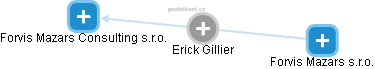 Erick Gillier - Vizualizace  propojení osoby a firem v obchodním rejstříku