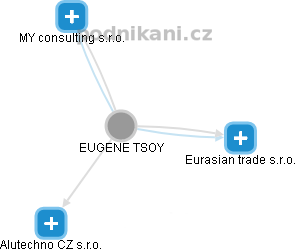 EUGENE TSOY - Vizualizace  propojení osoby a firem v obchodním rejstříku