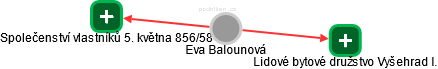 Eva Balounová - Vizualizace  propojení osoby a firem v obchodním rejstříku