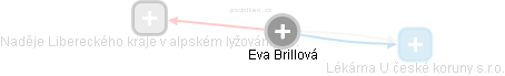 Eva Brillová - Vizualizace  propojení osoby a firem v obchodním rejstříku