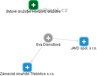 Eva Dienstlová - Vizualizace  propojení osoby a firem v obchodním rejstříku