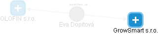 Eva Dopitová - Vizualizace  propojení osoby a firem v obchodním rejstříku