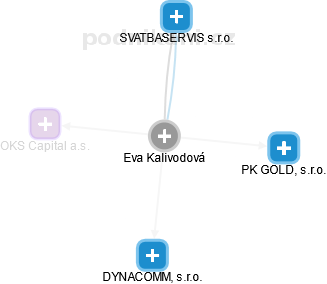 Eva Kalivodová - Vizualizace  propojení osoby a firem v obchodním rejstříku