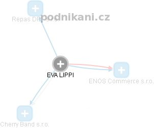 EVA LIPPI - Vizualizace  propojení osoby a firem v obchodním rejstříku