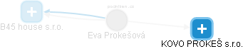 Eva Prokešová - Vizualizace  propojení osoby a firem v obchodním rejstříku