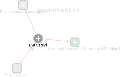 Eva Š. - Vizualizace  propojení osoby a firem v obchodním rejstříku