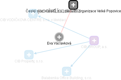 Eva Václavková - Vizualizace  propojení osoby a firem v obchodním rejstříku