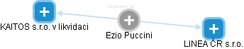  Ezio P. - Vizualizace  propojení osoby a firem v obchodním rejstříku