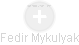 Fedir Mykulyak - Vizualizace  propojení osoby a firem v obchodním rejstříku