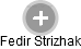 Fedir Strizhak - Vizualizace  propojení osoby a firem v obchodním rejstříku