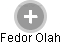 Fedor Olah - Vizualizace  propojení osoby a firem v obchodním rejstříku