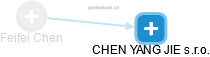 Feifei Chen - Vizualizace  propojení osoby a firem v obchodním rejstříku