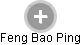 Feng Bao Ping - Vizualizace  propojení osoby a firem v obchodním rejstříku
