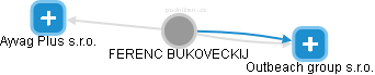 Bukoveckij F. - Vizualizace  propojení osoby a firem v obchodním rejstříku