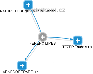 FERENC MIKES - Vizualizace  propojení osoby a firem v obchodním rejstříku