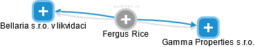 Fergus Rice - Vizualizace  propojení osoby a firem v obchodním rejstříku