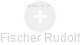 Fischer Rudolf - Vizualizace  propojení osoby a firem v obchodním rejstříku