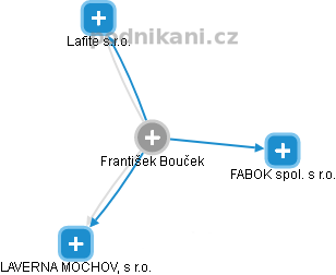 František Bouček - Vizualizace  propojení osoby a firem v obchodním rejstříku