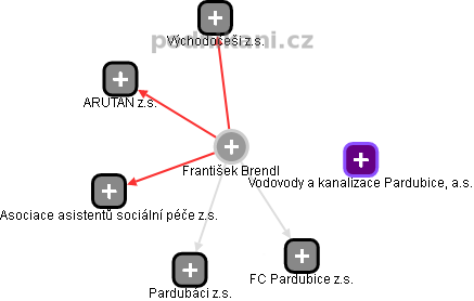 František Brendl - Vizualizace  propojení osoby a firem v obchodním rejstříku